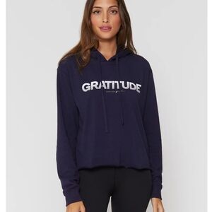 NWT Navy Spiritual Gangster Graditude Vintage Terry Cropped Hoodie
